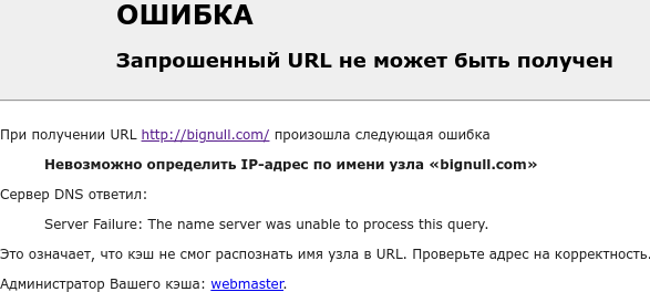 bignull com отзывы