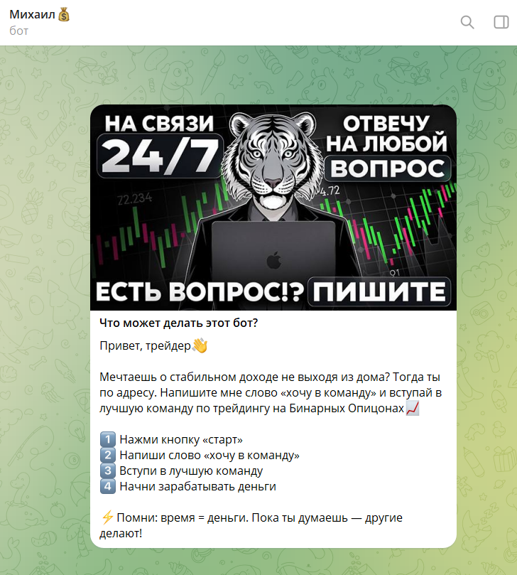 бинарный тигр отзывы