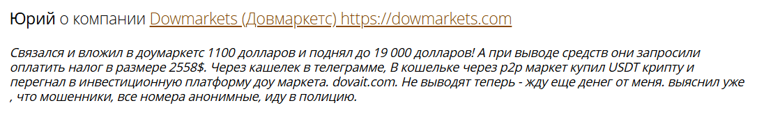 что иностранцы пишут про dovmarkets
