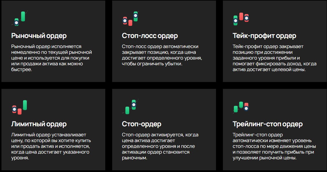 enozoeco отзывы