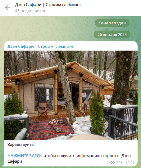инвестиции в дзен сафари отзывы
