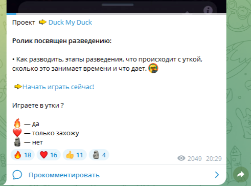КОМБОЧКА