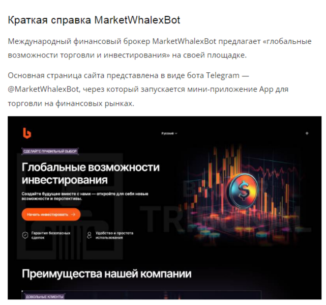 marketwhalexbot