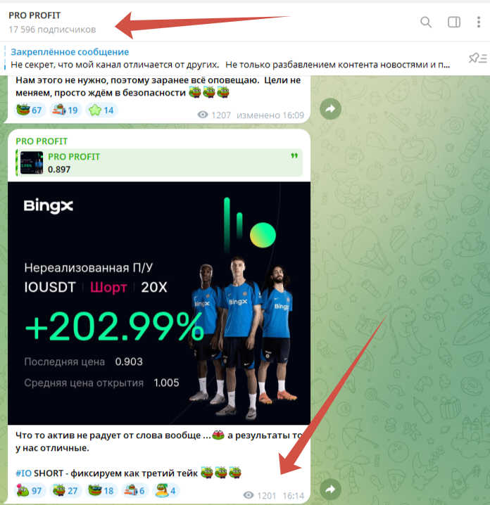 pro profit тг канал