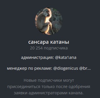 ректуемся с катаной