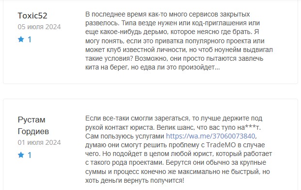 trademo процессинг отзывы