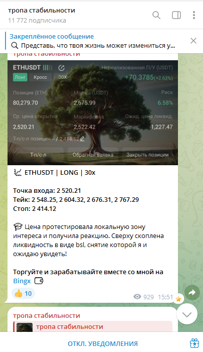 тропа стабильности трейдер отзывы