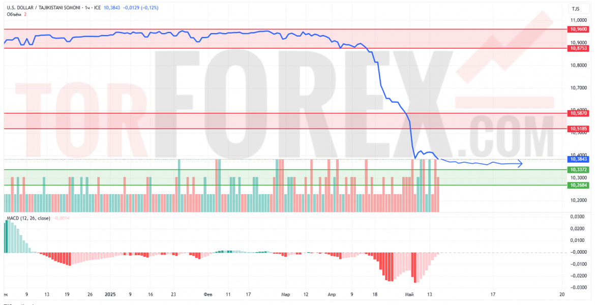 Прогноз Доллар Сомони USD/TJS на 19 мая 2025