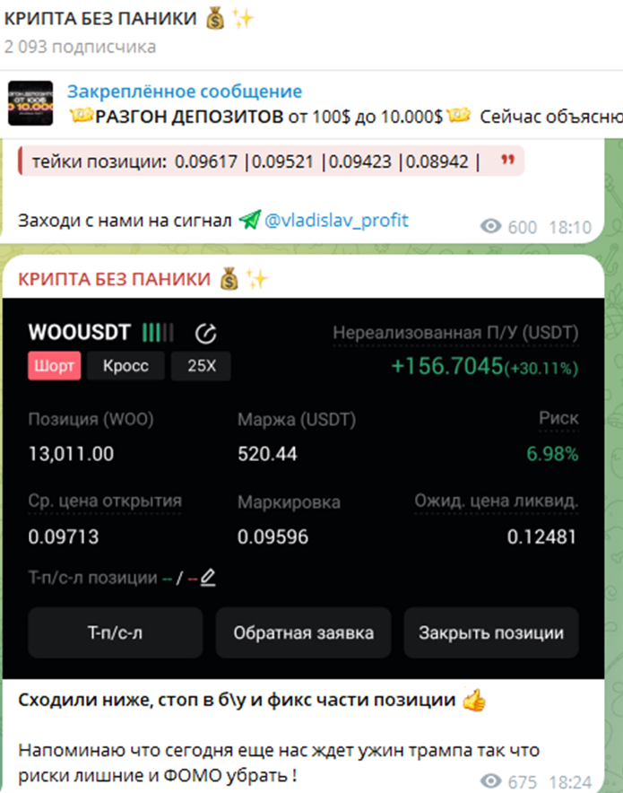 vladislav profit отзывы