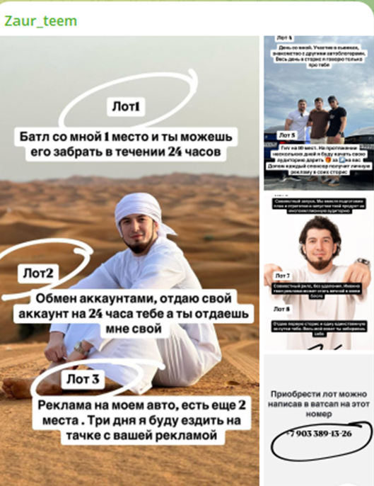 заур тим тг
