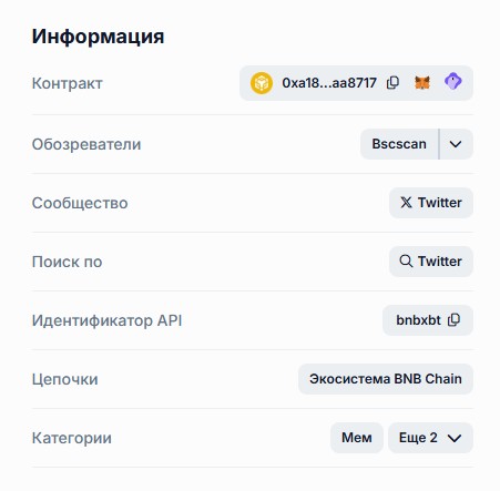 bnbxbt обзор
