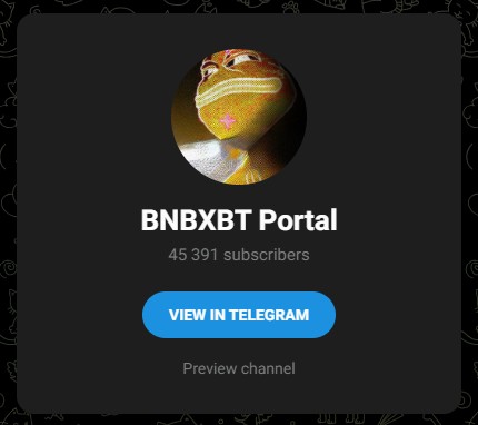 bnbxbt обзор