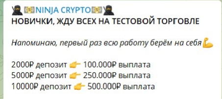 crypto ninja official channel