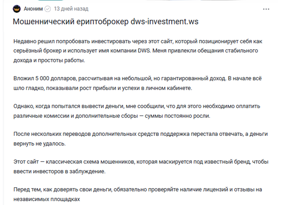 Dws Investment Ws