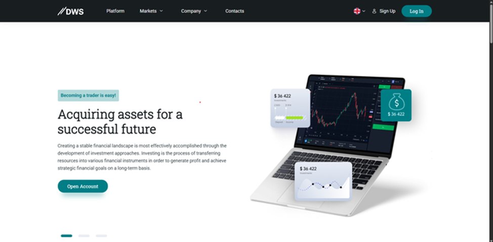 Dws Investment Ws