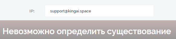 kingai space отзывы