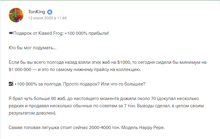 kissed frog подарок тг