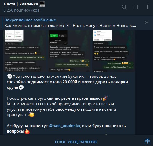 настя удалёнка