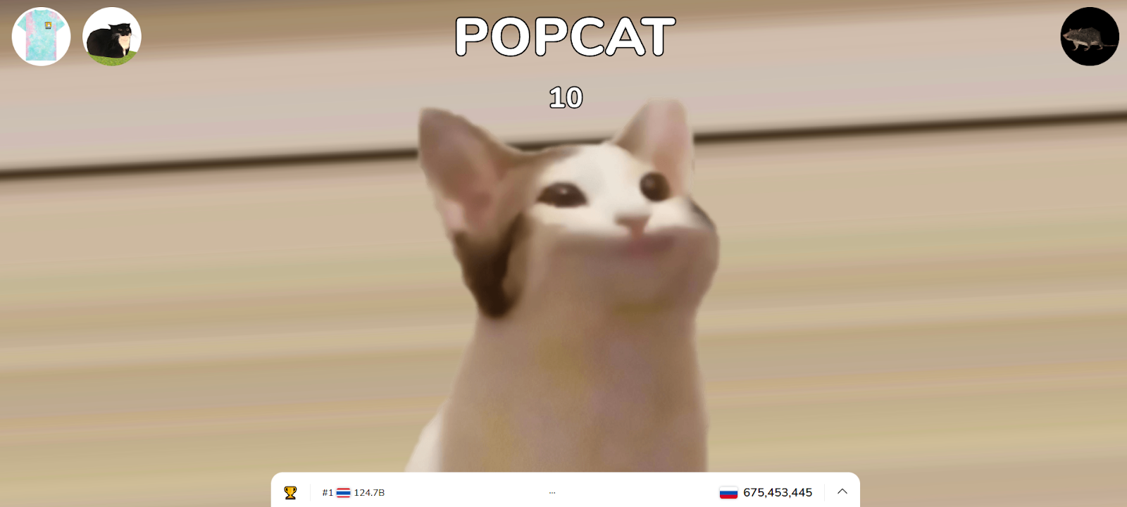 popcat криптовалюта обзор