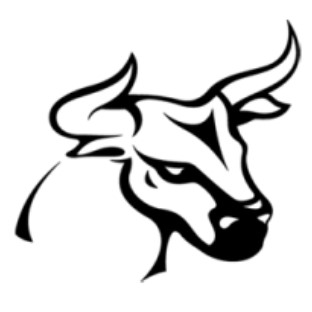 Pullsbit