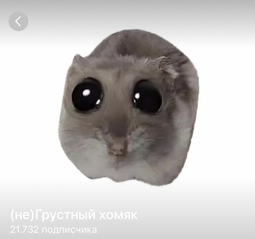 sever ar отзывы