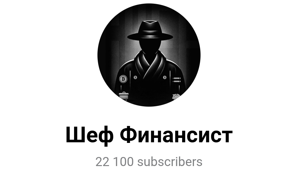 шеф финансист