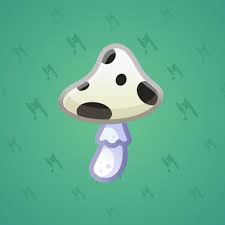Spy Agaric