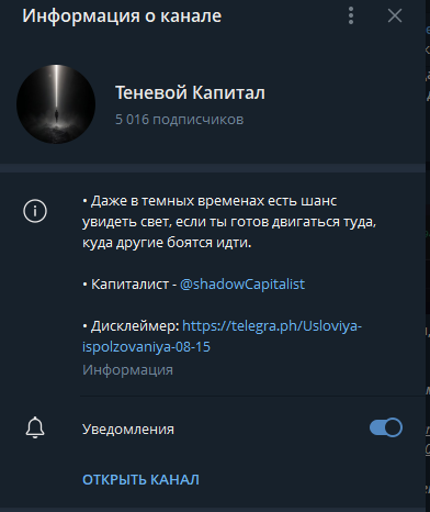 Теневой Капитал