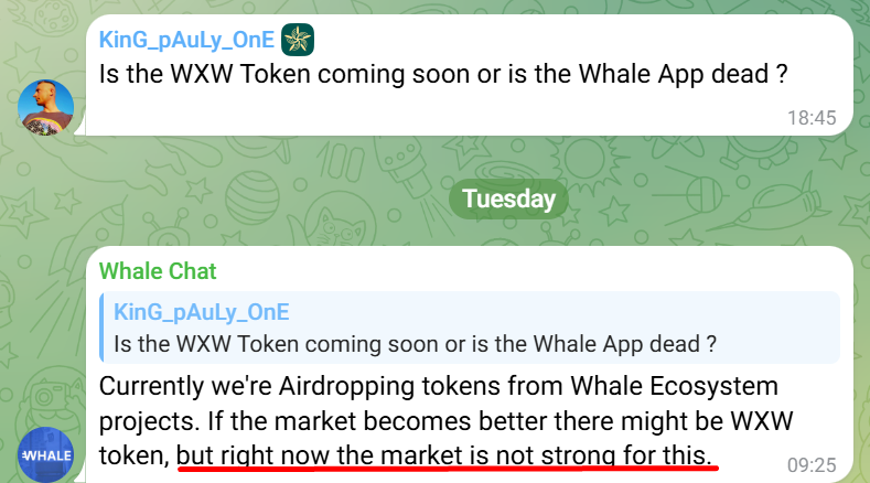 the whale app bot