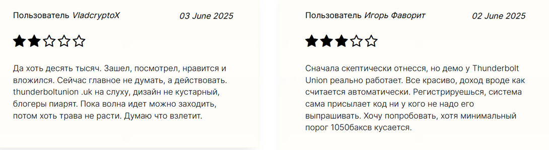 thunderbolt union заработок