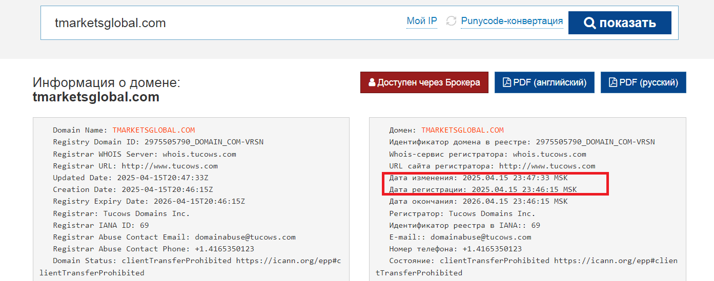 tm global брокер