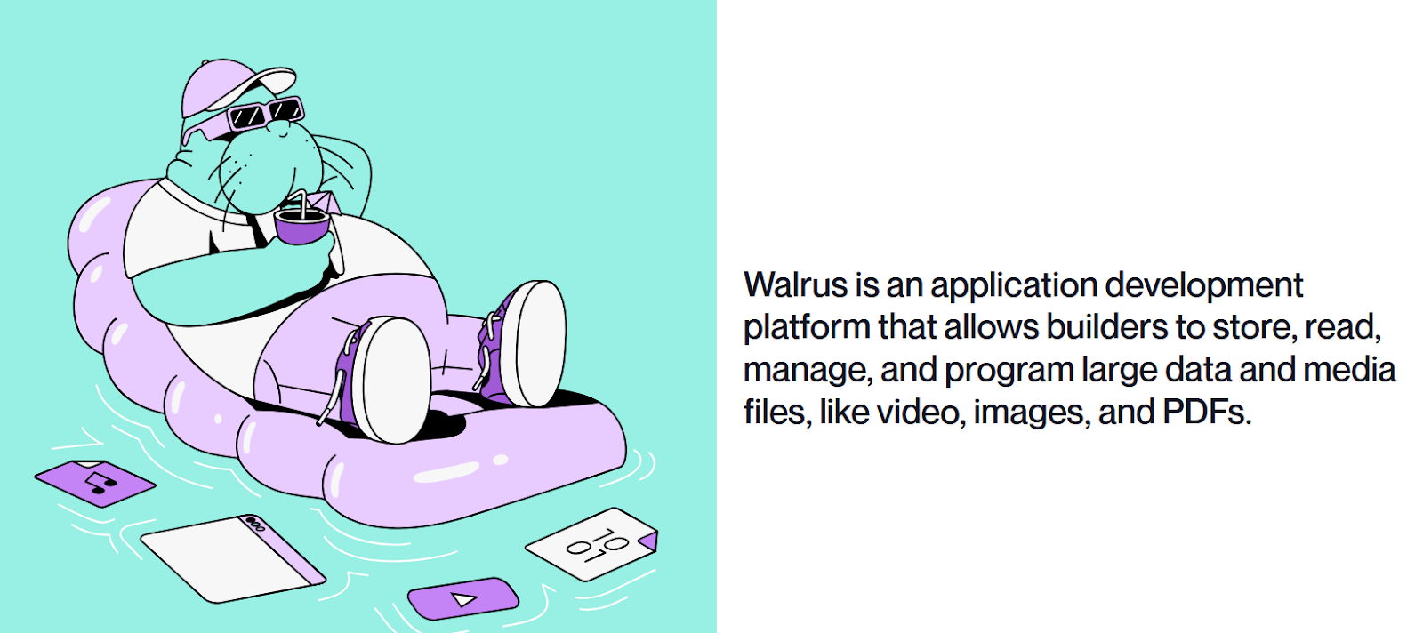 walrus wal криптовалюта