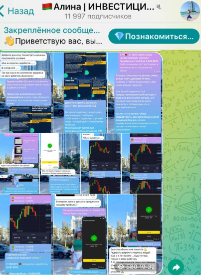 алина вишневская инвестор
