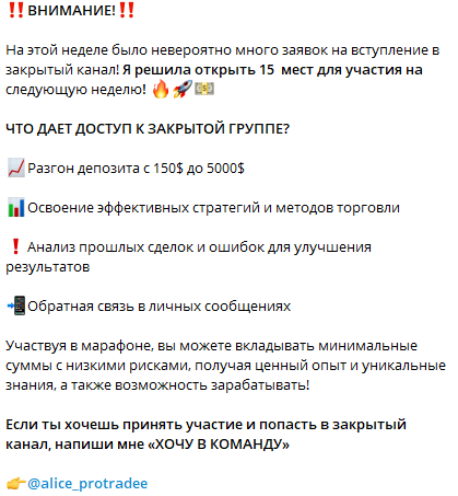алиса про трейдинг телеграмм канал