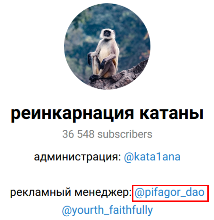 артемон курс