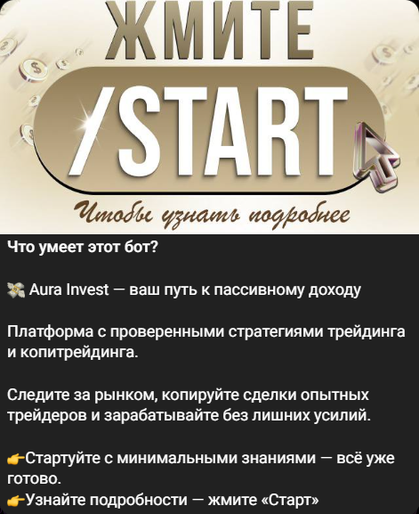 aura invest