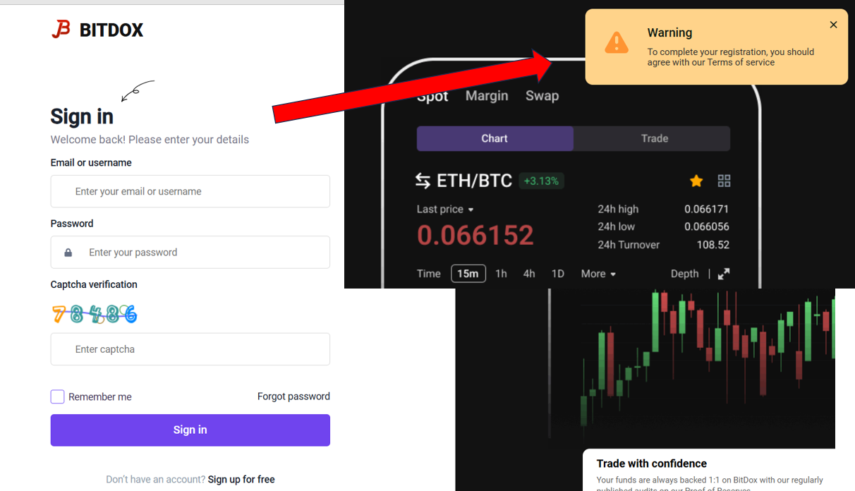 bitdox net отзывы
