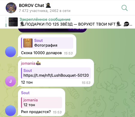 borov club