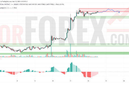 Прогноз Биткоин Доллар BTC/USDT на 13 июля 2025
