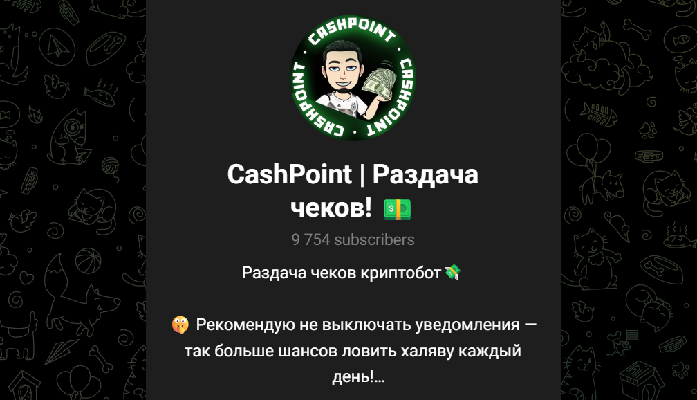 cashpoint обман