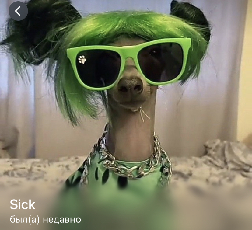 экспресс фриланс