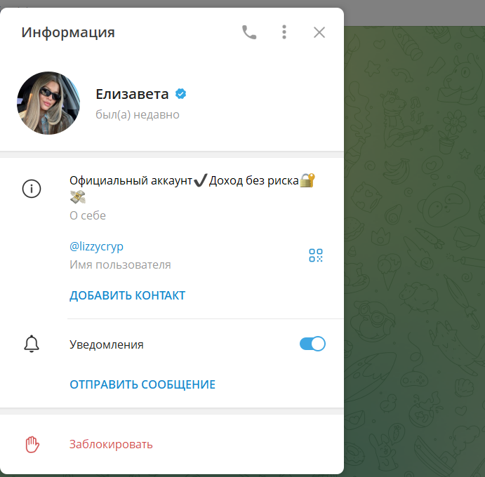 elizaveta michyshkina отзывы