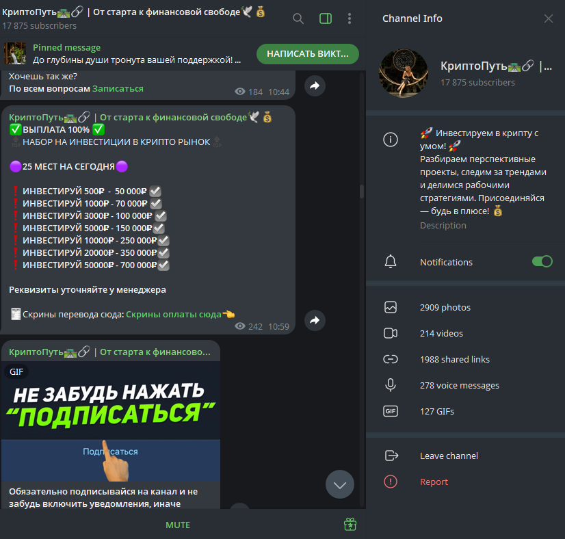finpotokk bot