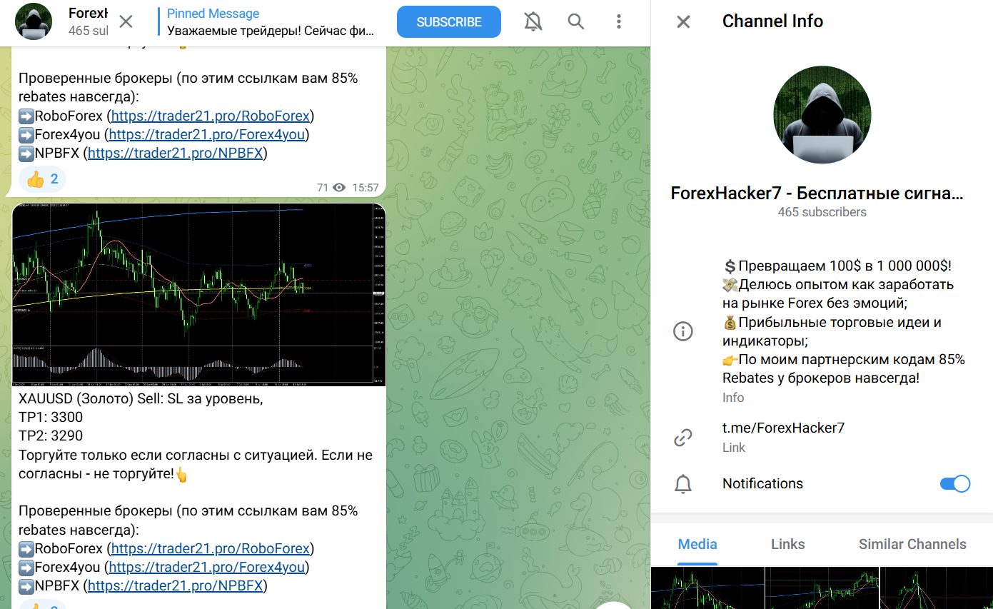 gs spider forex robot