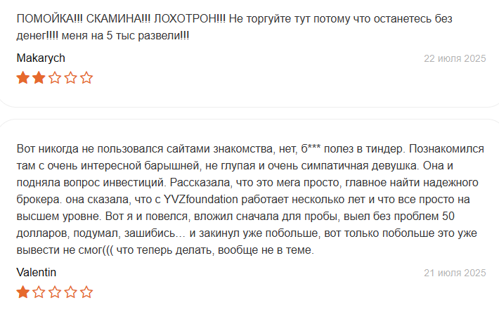 ивзфаундейшн