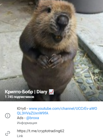 крипто бобр