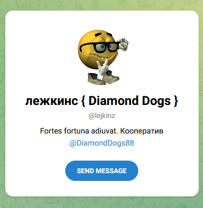лежкинс labs