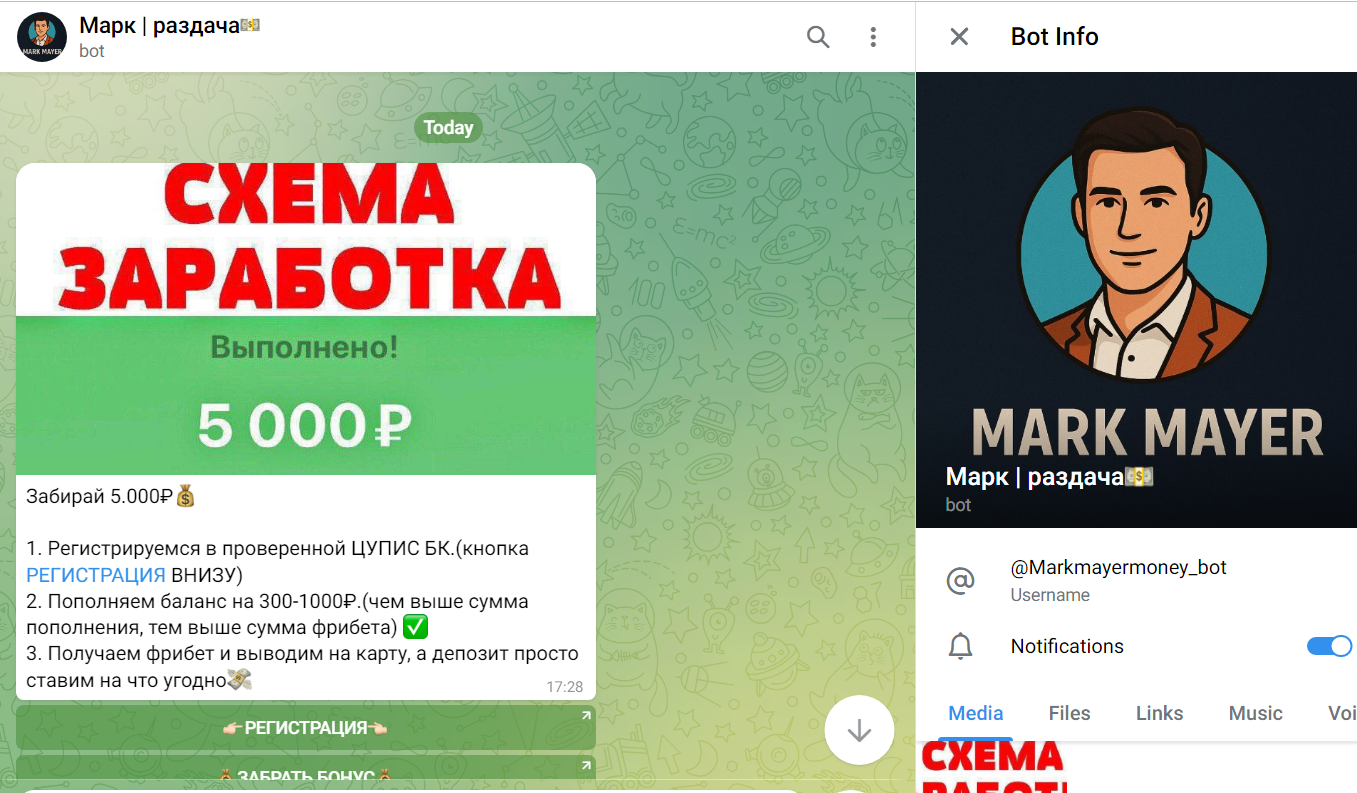 markmayermoney bot