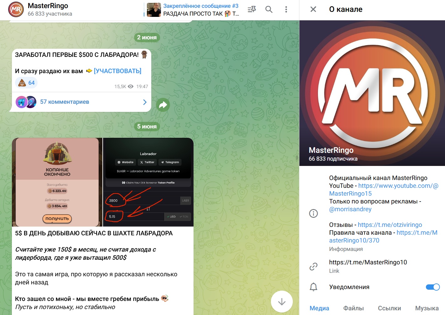 мастер ринго заработок в интернете