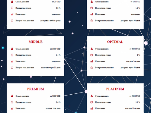 net profit biz